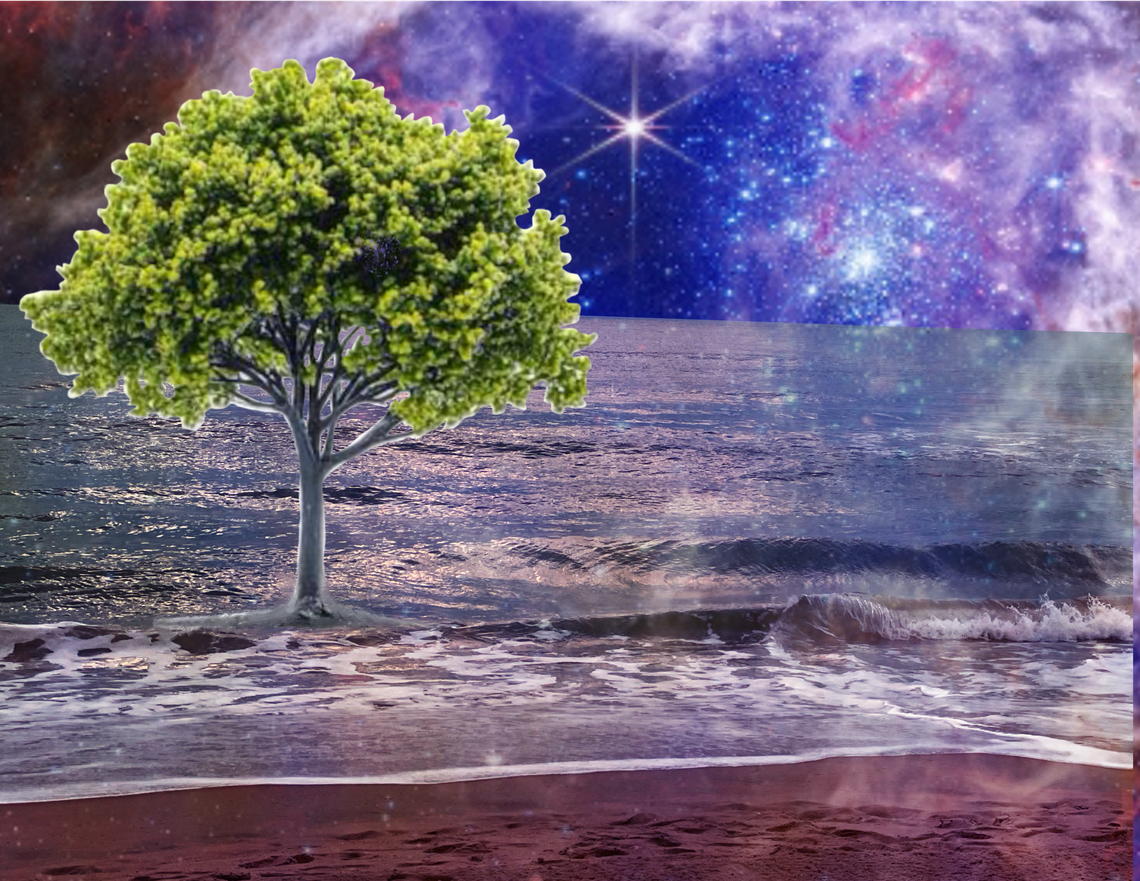 Sally on the Environment